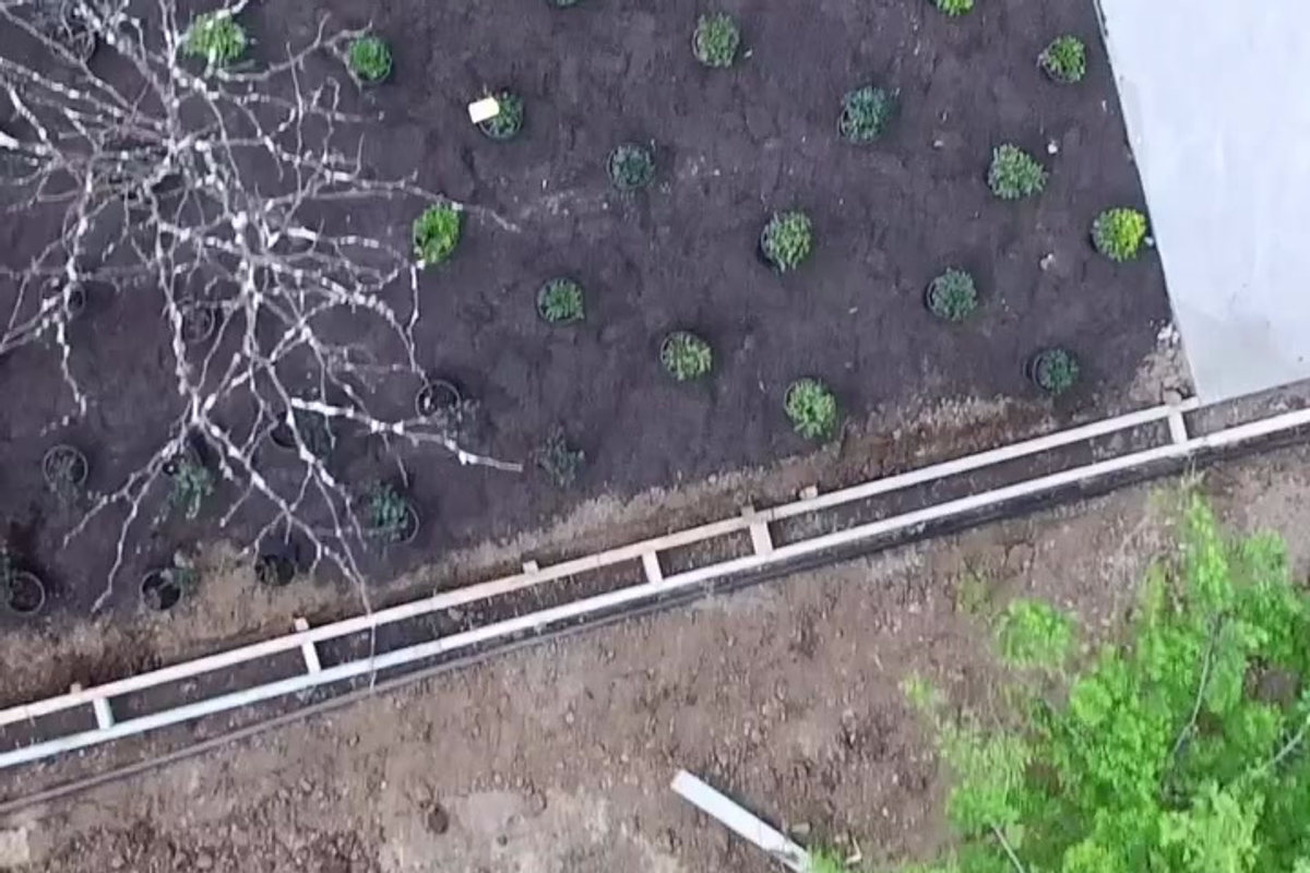 Planting around a civil program: sequencing and weather