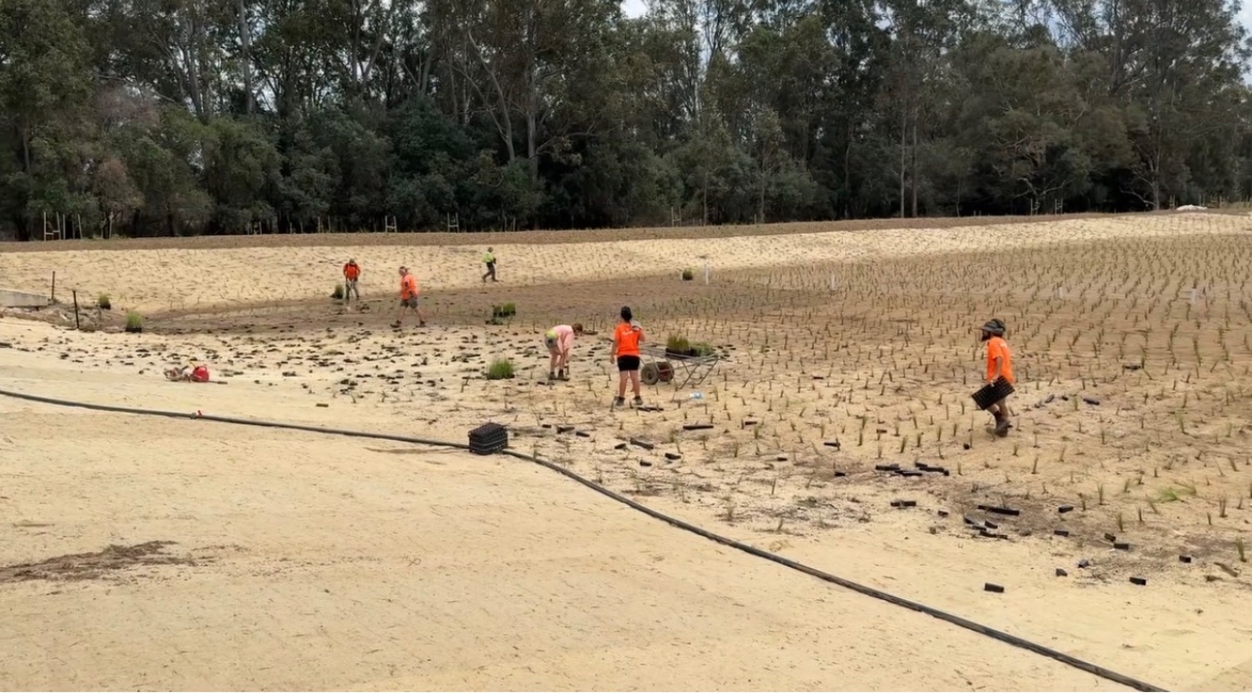 Detention basin planting that passes inspection first time