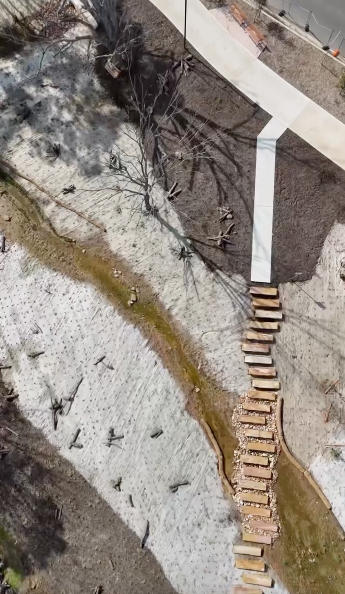 Planting through jute on a creek line: how riparian revegetation goes in