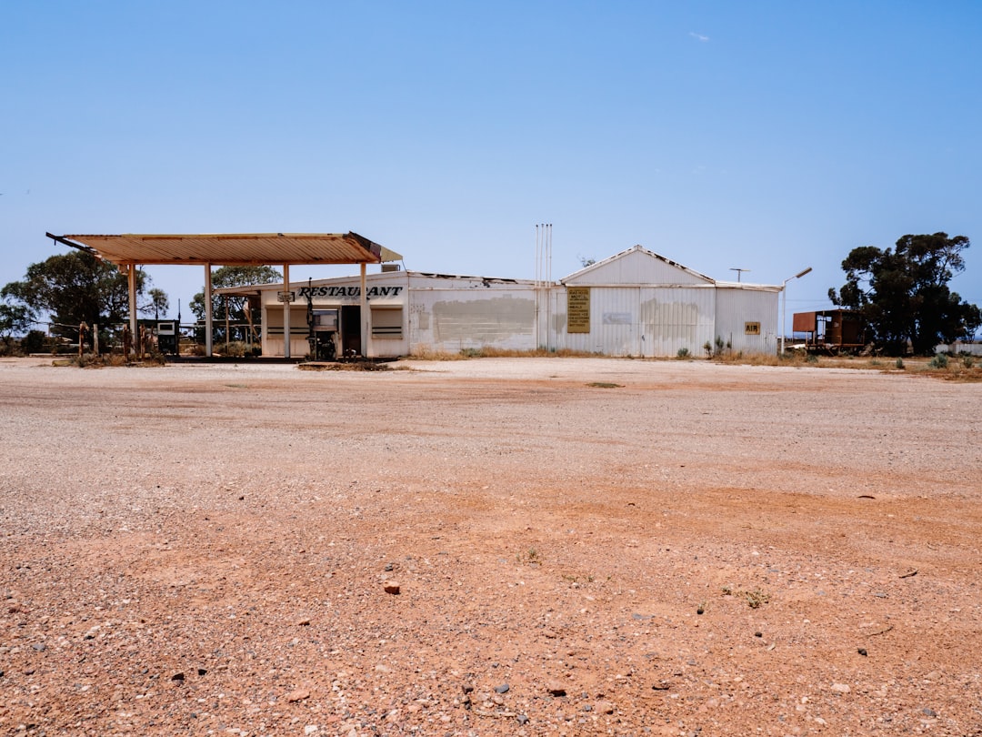 Geomorphic mine rehab is here - what it asks of the planting