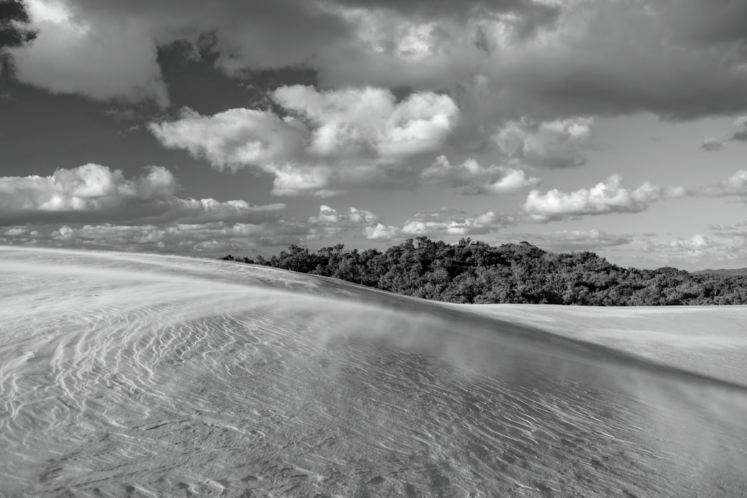 Coastal erosion: the sand gets the headlines, the planting holds the line