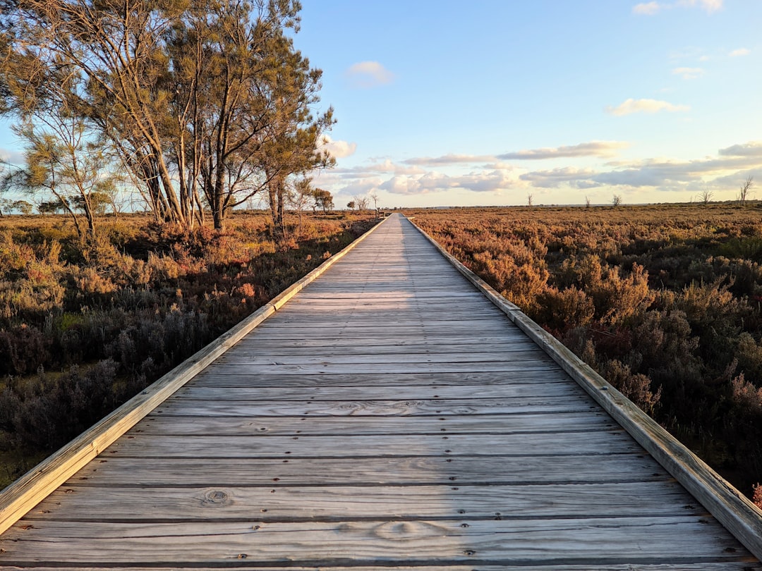 When the fine pays for the fix: the Wingecarribee swamp rehab
