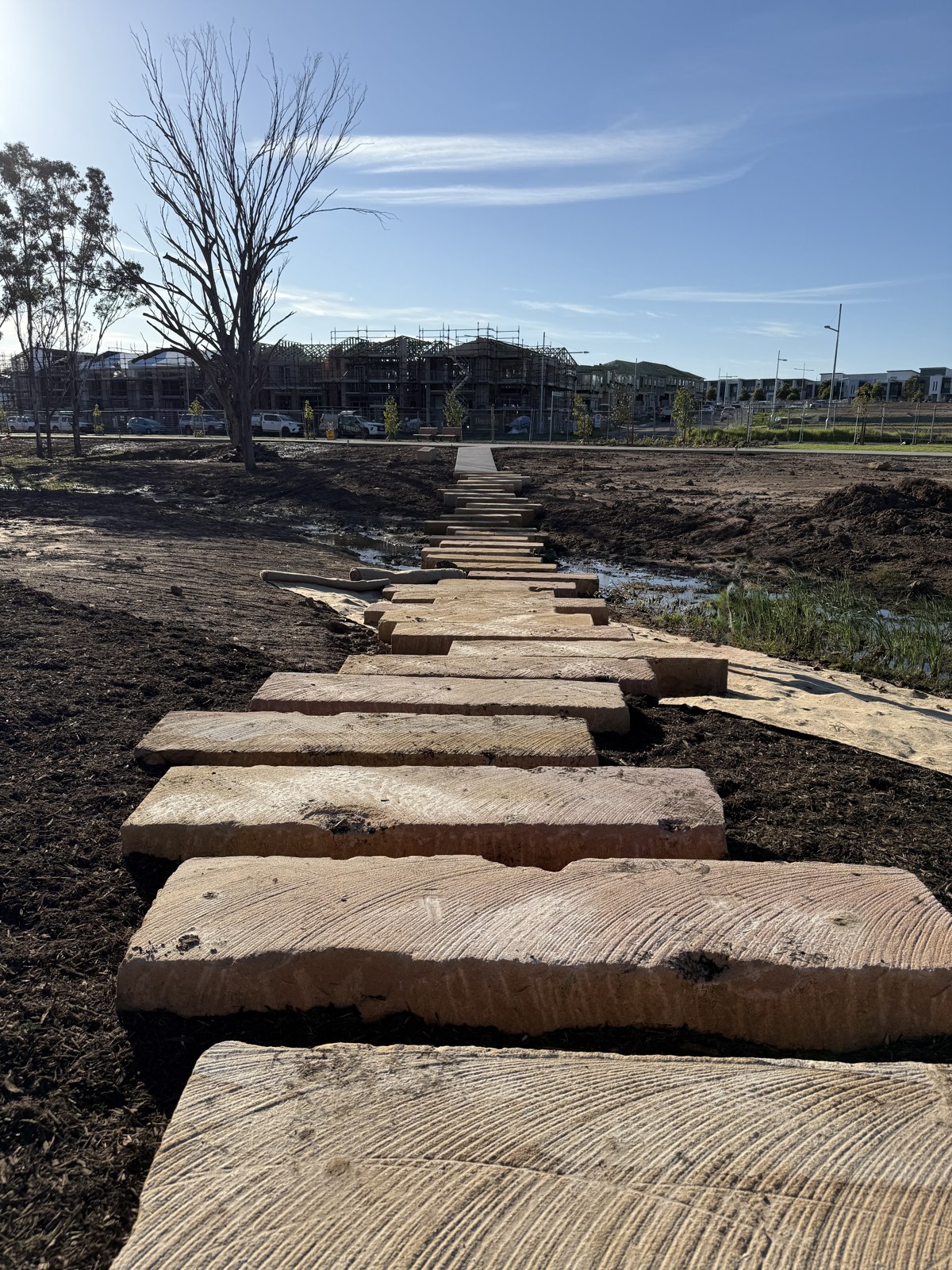 Civil & Infrastructure Planting